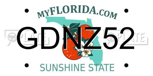 GDNZ52 Florida License Plate
