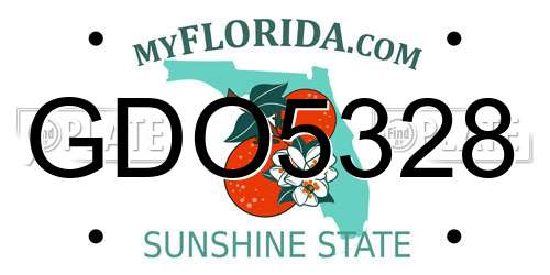 GDO5328 Florida License Plate