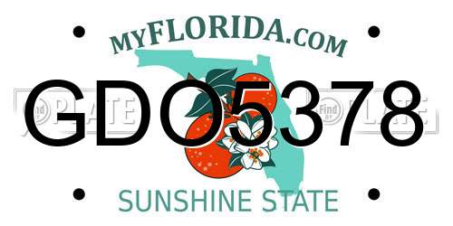 GDO5378 Florida License Plate
