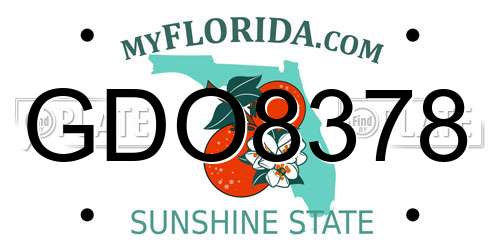 GDO8378 Florida License Plate