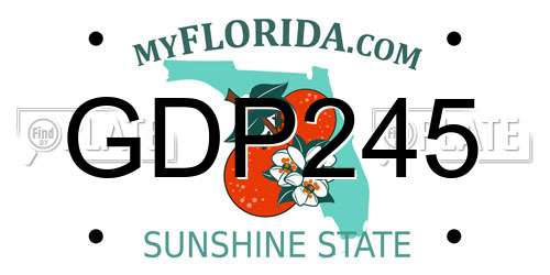 GDP245 Florida License Plate
