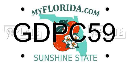 GDPC59 Florida License Plate