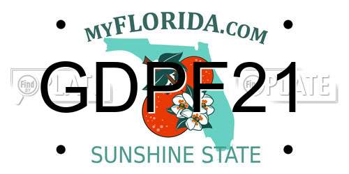 GDPF21 Florida License Plate