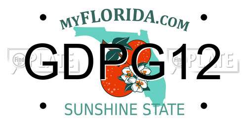 GDPG12 Florida License Plate