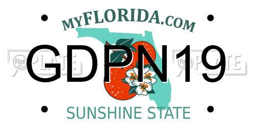 GDPN19 Florida License Plate