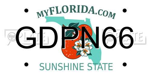 GDPN66 Florida License Plate