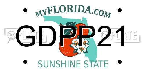 GDPP21 Florida License Plate