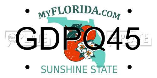 GDPQ45 Florida License Plate