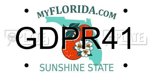 GDPR41 Florida License Plate