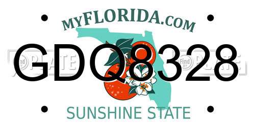 GDQ8328 Florida License Plate