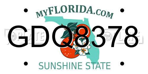 GDQ8378 Florida License Plate