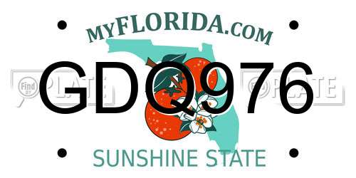 GDQ976 Florida License Plate