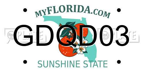 GDQD03 Florida License Plate