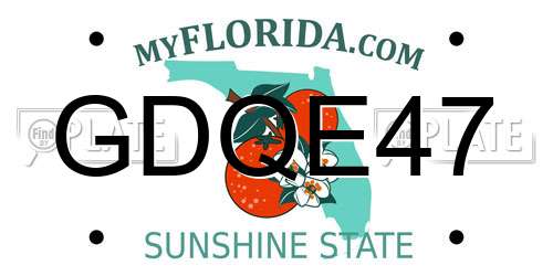 GDQE47 Florida License Plate