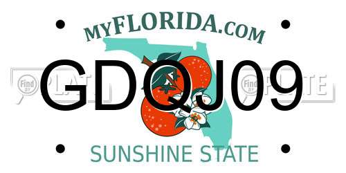 GDQJ09 Florida License Plate
