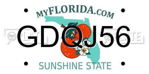GDQJ56 Florida License Plate