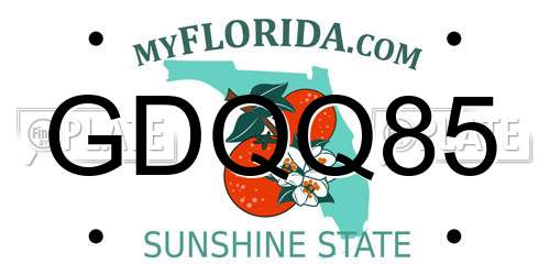 GDQQ85 Florida License Plate