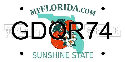 GDQR74 Florida License Plate