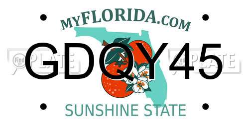 GDQY45 Florida License Plate