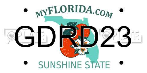 GDRD23 Florida License Plate