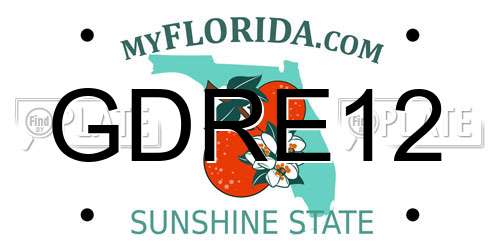 GDRE12 Florida License Plate