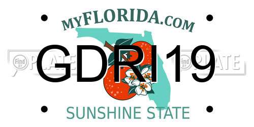 GDRI19 Florida License Plate