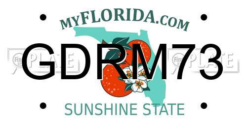 GDRM73 Florida License Plate