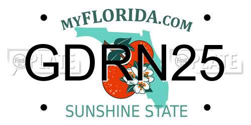 GDRN25 Florida License Plate