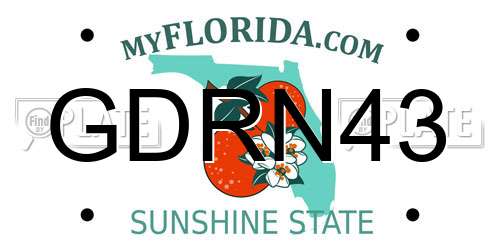 GDRN43 Florida License Plate
