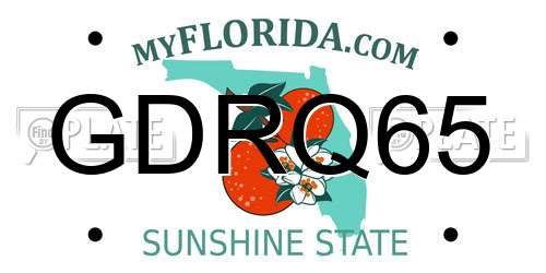 GDRQ65 Florida License Plate
