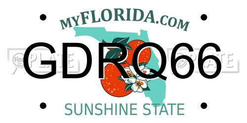 GDRQ66 Florida License Plate