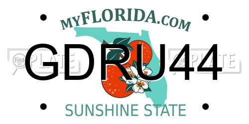 GDRU44 Florida License Plate