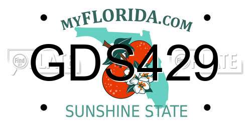 GDS429 Florida License Plate