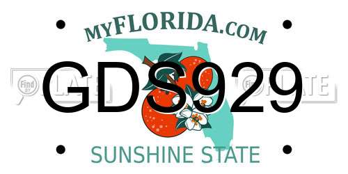 GDS929 Florida License Plate