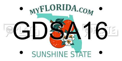 GDSA16 Florida License Plate