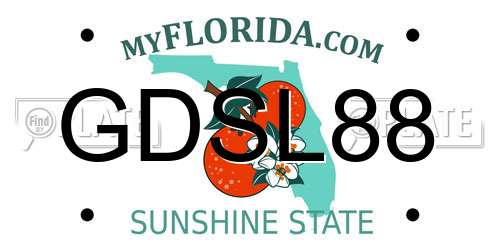 GDSL88 Florida License Plate