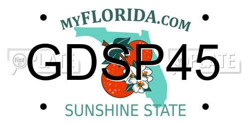 GDSP45 Florida License Plate