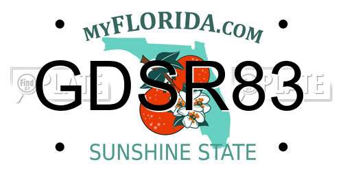 GDSR83 Florida License Plate