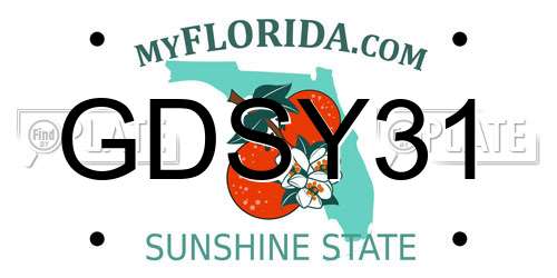 GDSY31 Florida License Plate