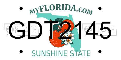 GDT2145 Florida License Plate