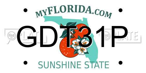 GDT31P Florida License Plate