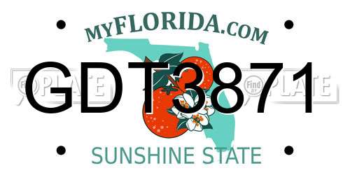 GDT3871 Florida License Plate