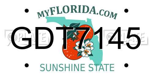 GDT7145 Florida License Plate