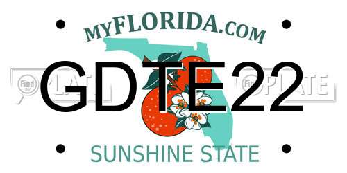 GDTE22 Florida License Plate
