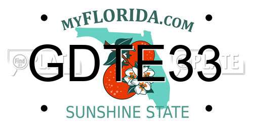 GDTE33 Florida License Plate