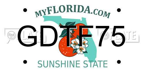 GDTF75 Florida License Plate