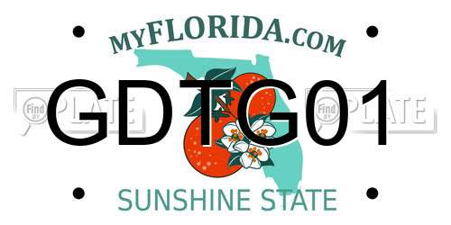 GDTG01 Florida License Plate
