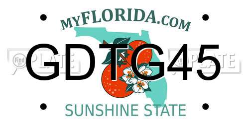 GDTG45 Florida License Plate