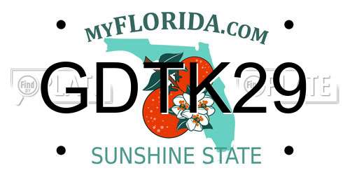 GDTK29 Florida License Plate
