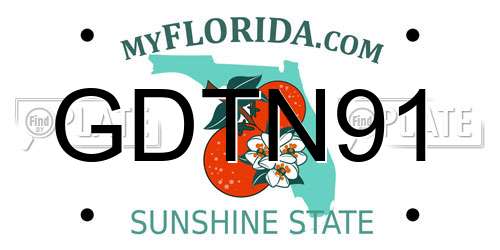 GDTN91 Florida License Plate
